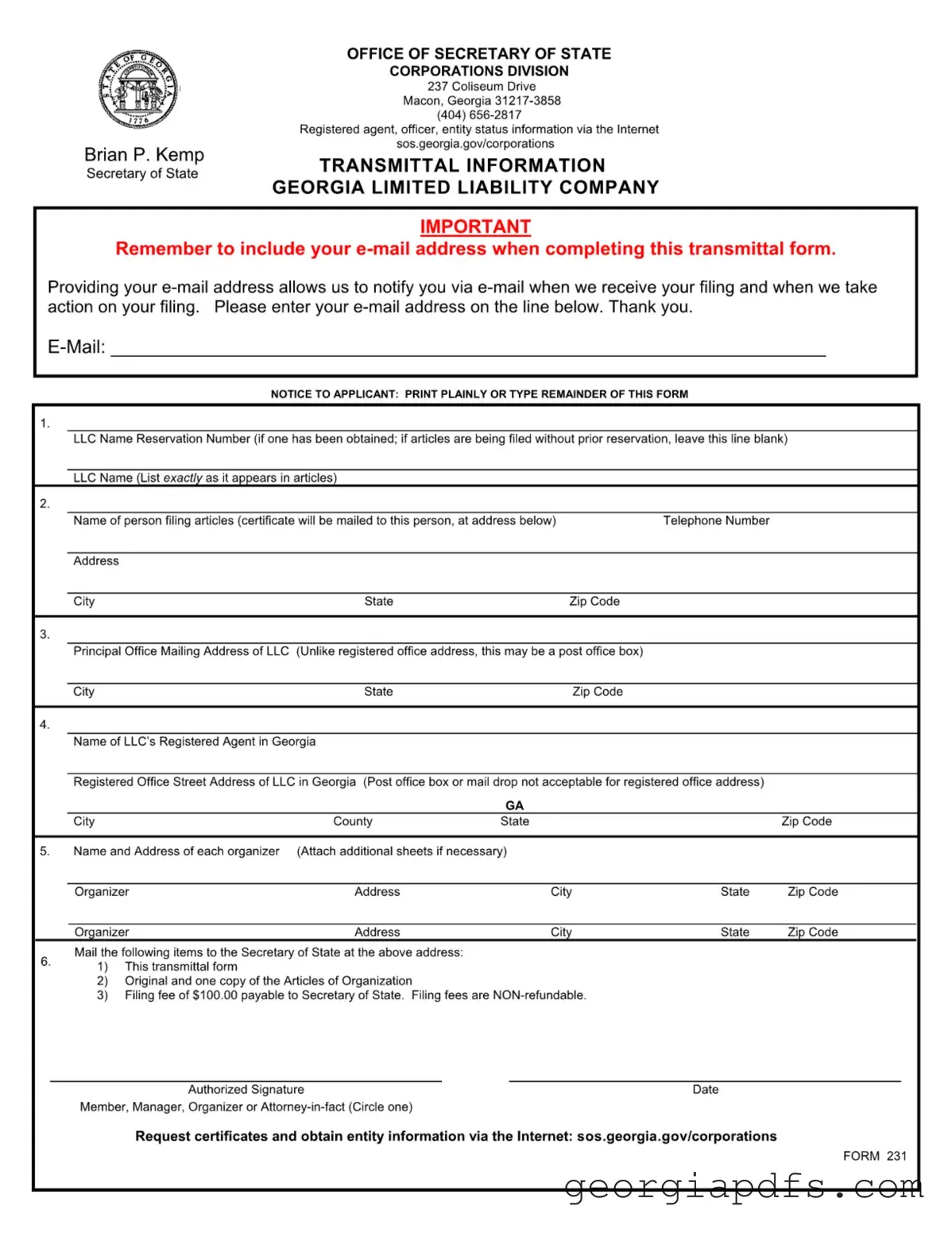 Fill Out a Valid Georgia 231 Template