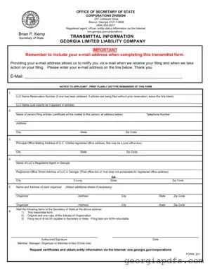 Fill Out a Valid Georgia 231 Template