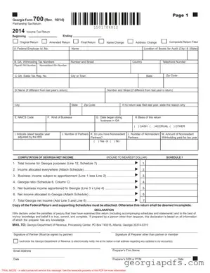 Fill Out a Valid Georgia 700 Template