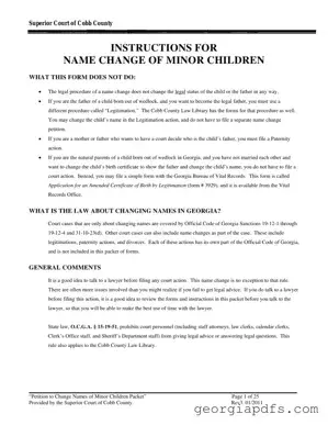 Fill Out a Valid Georgia Change Name Minor Template